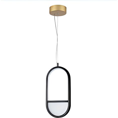Luxueux plafonnier ovale en aluminium noir et or, 13,5 W, lumière 2700 K, décoration artistique minimaliste (1/2)