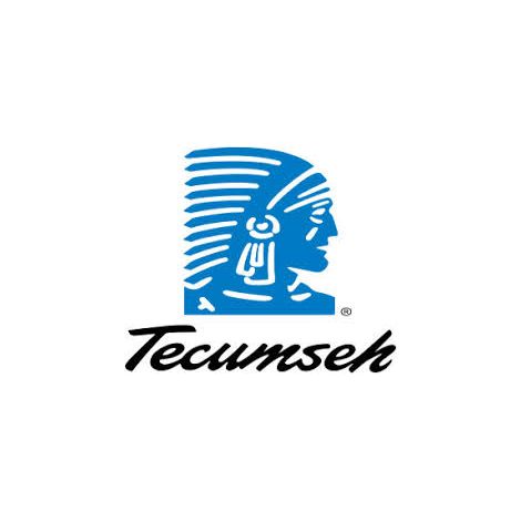 lanceur complet - 590732A - Tecumseh (1/2)