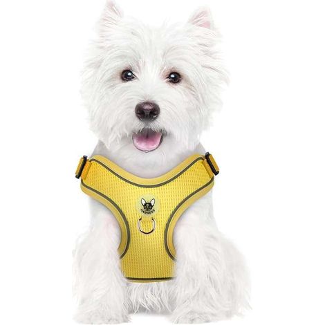 Hundegeschirr mit Leine zum Spazierengehen, reflektierend, verstellbar, weich, Größe L, gelb