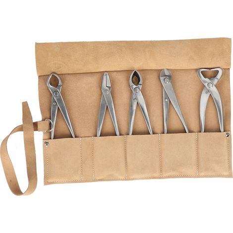 Gartenwerkzeug-Set – Tragbare Edelstahl-Gartenschere mit Aufbewahrungstasche für Blumen und Bonsai (1/5)