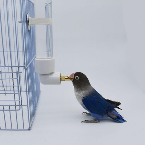 Distributeur d'eau automatique anti-goutte pour petits animaux et oiseaux (1/4)
