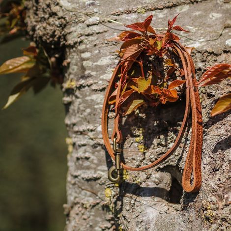 Laisse en Cuir pour Chien Marron, Cuir Italien de Tannage Végétal Fait Main, 105-140 cm - PANGIVO (1/2)