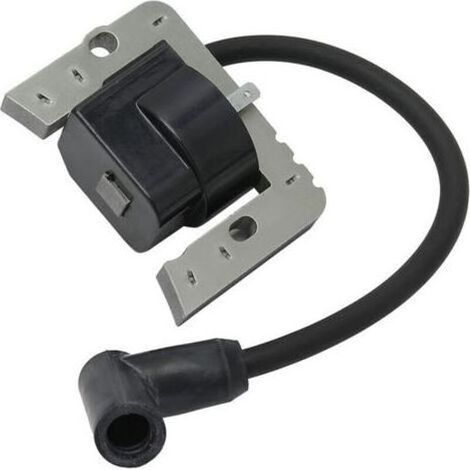 Bobine d'allumage, transformateur haute tension 36344A 37137 36344 Tecumseh OHV170 OHV175