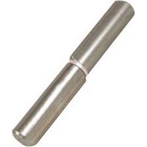 24PZ CERNIERE CON COSTA PERNO FISSO ART.255 - mm.100x ø 14