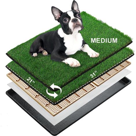 Toilettes pour Chien avec Gazon Artificiel, 79×53 cm Bacs à Litières pour Chiens avec Pelouse Artificielle Exterieur Intérieur, Plateau de Pot pour Moyen Chien avec Pipi Pad Tapis d’Herbe (1/5)