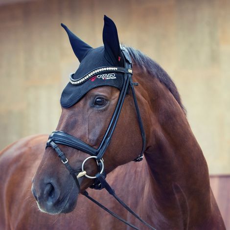 CATAGO Fliegenhaube FIR-Tech Healing - schwarz - Vollblut (1/3)