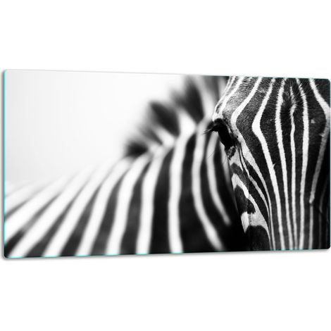 Tagliere della lastra di vetro 52x30 zebra (1/5)