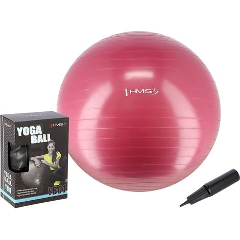 65 cm großer Gymnastikball in Pflaume für Yoga und Fitness