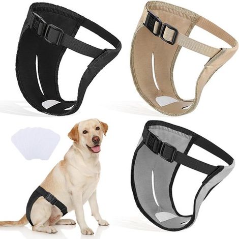 Completo 3 pezzi con pantaloni riscaldati per cagne, taglia XL. Include fasciatoio sostituibile. Pannolino mestruale riutilizzabile. Pantaloni riscaldati per cagne. (1/5)