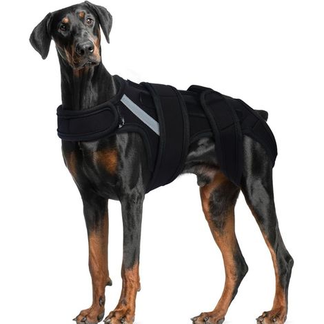 Gilet de soutien dorsal pour chien XL réglable pour IVDD disque glissé hernie discale arthrite récupération post-opératoire soulagement des douleurs dorsales pour teckel corgi (1/5)