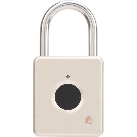 Cadenas à empreinte digitale sans marque modèle intelligent antivol en alliage de zinc doré rechargeable USB pour armoire et valise (1/5)