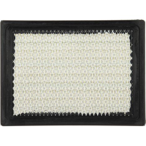Filtre à Air Polaris