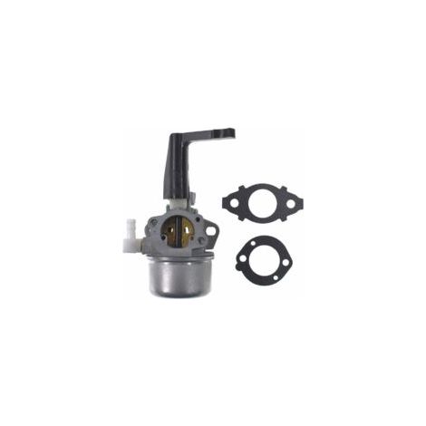 Carburador de repuesto ZVD con kit de juntas para Briggs & Stratton 696065 697422 110402-0206-E1 - Crezuo (1/4)