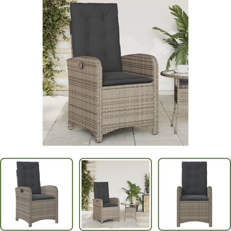 Chaise inclinable - Chaise inclinable de jardin avec coussins gris résine tressée (1/5)
