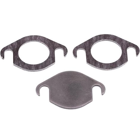 suppression vanne egr b7 plaque egr c6 Kit Plaque D'obturation de Vanne EGR et Joint, Kit Plaque D'obturation de Vanne EGR en Inox pour TDI (1/5)