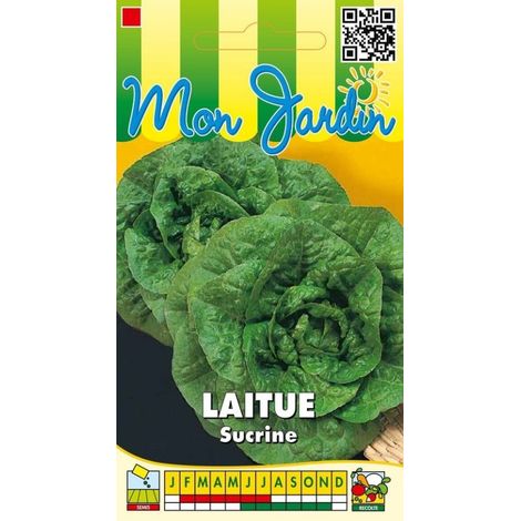 Laitue grasse Sucrine - 3g