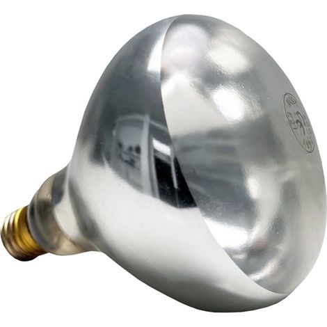12266 Ampoule de rechange pour lampe chauffante, E27, blanc chaud, 250 W, Ø 12,5 cm (1/4)