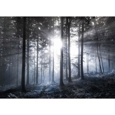 Tableau forêt en hiver avec rayons du soleil | Tableau arbre gris & blanc idéal couloir | Tableau sur toile déco salon & chambre adulte 0,7 x 0,5 m (1/2)