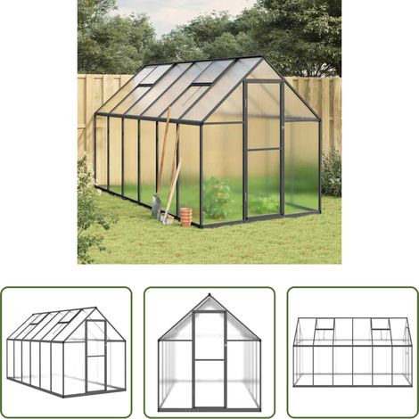 Protection des plantes - Serre avec cadre de base anthracite 334x169x195 cm aluminium (1/5)