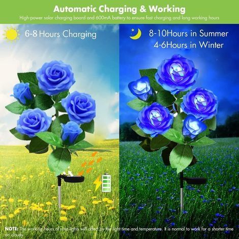 Dekorative Solar-Gartenleuchten für den Außenbereich, 2 Stück Solarlampen mit 10 Rosenblüten, wasserdichte Solarleuchten für Garten, Sträucher, Rasen und Zäune (Blau), 65 cm (1/4)