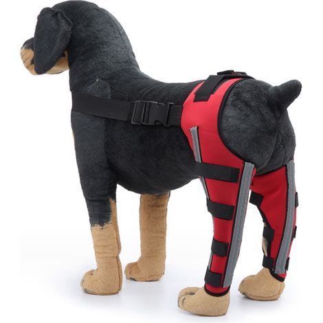 Genouillère Pour Chien - Orthèse Réglable Double Pattes Arrière Avec Articulation Métallique Flexible Et Sangles Réfléchissantes - Rouge (1/5)