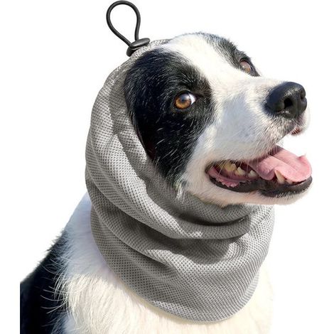 Copricapo per animali domestici, taglia S: circonferenza del collo 30-44 cm, lunghezza 27 cm. Protezione per le orecchie dei cani. Fascia antiscivolo, regolabile. Protezione per le orecchie per cani d (1/5)