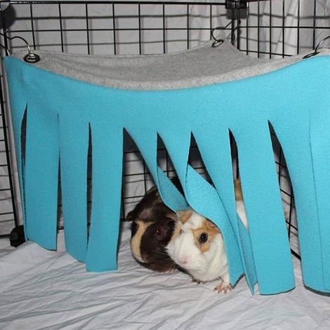 Hamac-tente pour petits animaux, abri, accessoires de cage, nid et lit pour cochon d'Inde, chinchilla, hérisson, (bleu) (1/4)