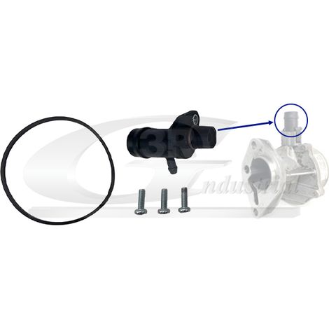 3RG 74602 KIT REPARACIÃƒâ€œN BOMBA VACÃƒÂO (5PCS)