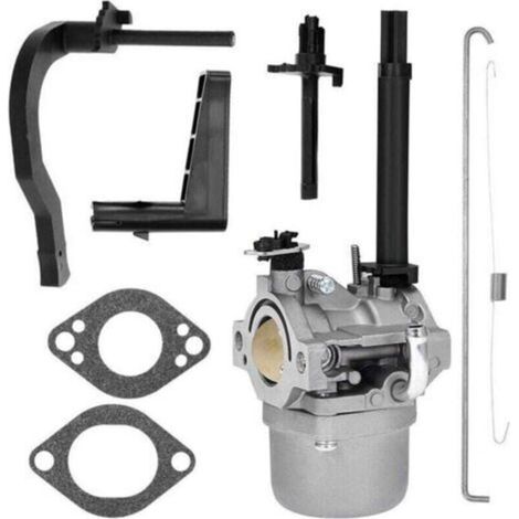 Carburateur adapté aux modèles 591378, XU, 699966, 699958, 796321 et 696132 de souffleuse à neige P25 - (1/4)