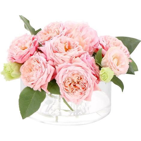 Pot hydroponique en acrylique transparent rond 12 trous - Support pour fleurs vase circulaire (15x15x6.5cm) - 1 pièce (1/5)