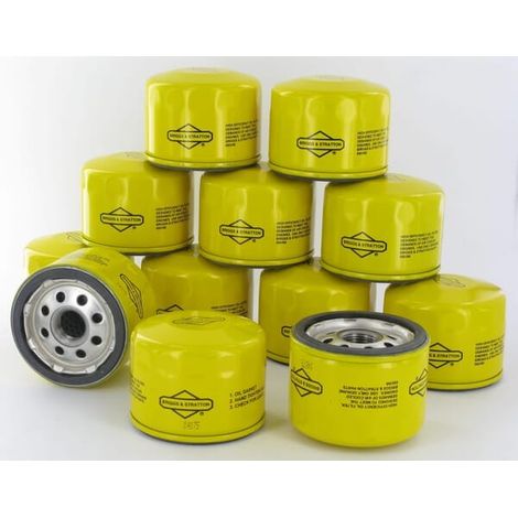 Filtres à huile 12 x 696854 BRIGGS ET STRATTON 4206WM