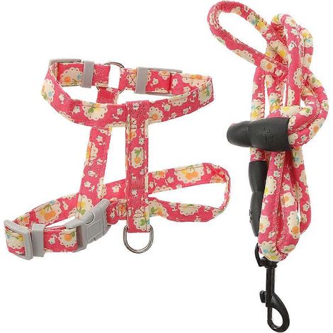 Arnés y correa de tela ajustables para gatos, juego de 5 piezas. (1/5)