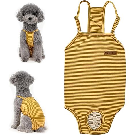 Culottes pour Chiennes, Pantalon pour Incontinence et Hygiène (M) (1/5)