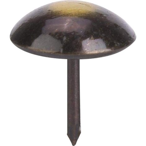 100 clous de tapisserie, clous de meubles, clous décoratifs pour meubles, clous de tapisserie, clous de meubles anciens (19 x 23 mm) (1/5)