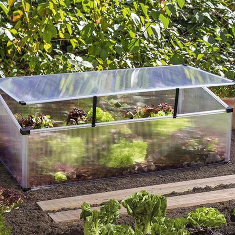 Mini serre de jardin Feronia 0,60 m² en polycarbonate 4 mm et toit ouvrant