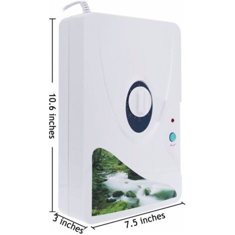 Générateur D'ozone Portable 600 Mg / H, Générateur D'ozone Polyvalent et Ozonateur D'huile D'eau et D'air Purificateur, Machine à Ozone (1/4)