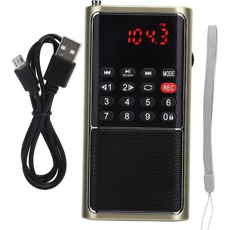 Radio FM Portable L-338 avec Fonction Lecteur pour Carte Mémoire et Clé USB, Idéal pour la Maison (1/5)
