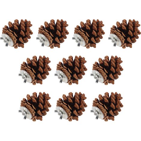 10 Pièces Pommes de Pin Naturelles à Mâcher pour Oiseaux, Jouet pour Perruche, Calopsitte, Conure, Canari, Perruche et Ara (1/5)