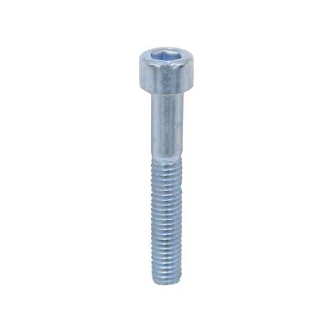 Vite Inox Cilindrica Cava Esagonale M.6X20