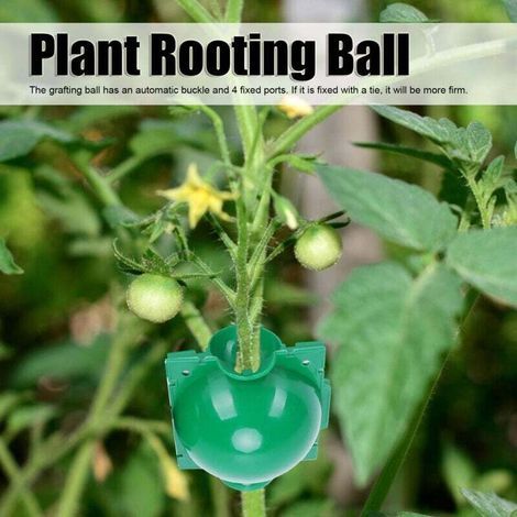 Kit de propagation en couches d'air de 10 pièces, greffage d'arbres de jardin enracinement, boules de coupe en couches élevées vertes petites, boîte de propagation végétative à haute pression po (1/4)