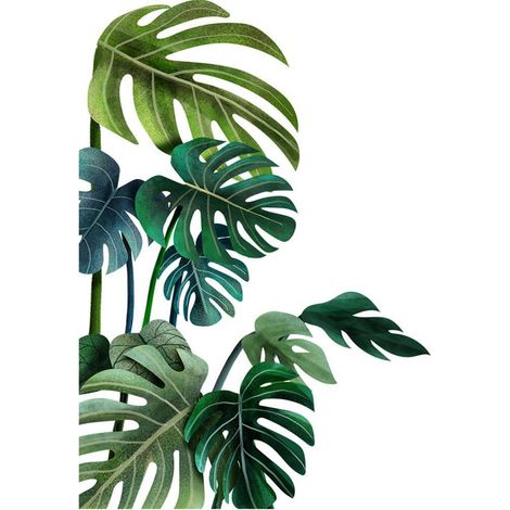 Sticker mural feuille de palmier (orientation droite) - Décoration murale feuille de plante tropicale verte pour salon ou chambre (1/5)