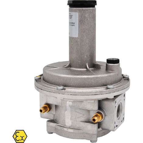 Regolatore doppia membrana a chiusura con filtro - attacchi 2" FF, modello FRG/2MC, pressione in entrata max 1 bar, attacchi filettati 00000040045 (1/4)