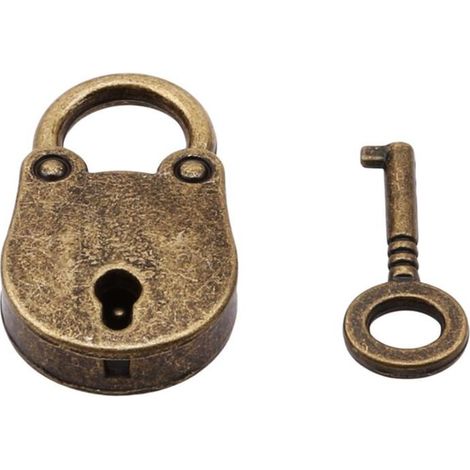 Cadenas à clé extérieur en acier galvanisé – Modèle 2493, anse de 55 mm, livré avec 2 clés