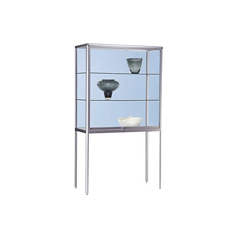 Vitrina modelo armario-vitrina anchura 1000 mm 2 puertas (1/4)