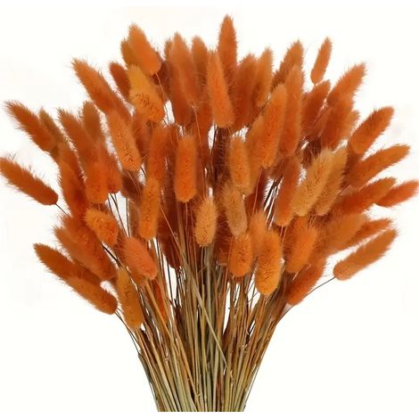 Bouquet de 120 herbes de la pampa orange naturelles séchées - Idéal pour la décoration intérieure, les anniversaires et les mariages (1/5)