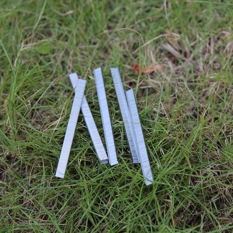10 000 clous antirouille pour attacher les vignes (1/5)