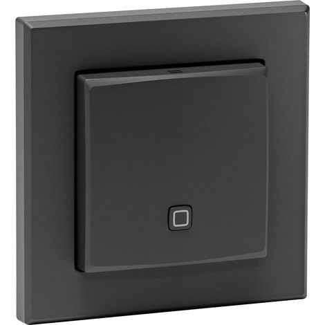 HOMEMATIC IP Temperatur und Luftentfeuchter-innen, anthrazit (1/5)