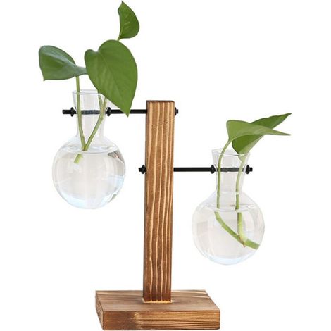 Pflanzenvermehrungsstation C Tisch-Pflanzen-Terrarium Glastopf mit Halterung (1/5)