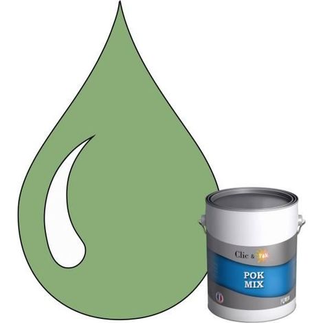 Peinture d'Accroche et Finition 2 en 1 - POK - RAL 6021 - Vert Pâle - Satiné - 1L (1/4)