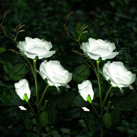 2 x lampes solaires d'extérieur, fleur de rose solaire pour jardin, lampe solaire étanche pour balcon, allée de jardin, bac de balcon, jardinière et décoration de terrasse (blanc) (1/5)